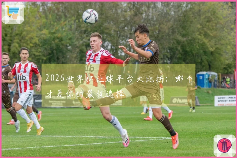 2026世界杯让球平台大比拼：哪个才是你的最佳选择
