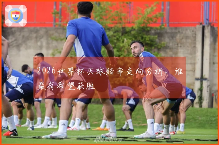 2026世界杯买球赔率走向分析，谁最有希望获胜