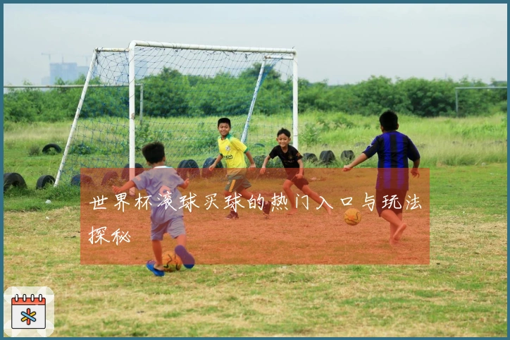 世界杯滚球买球的热门入口与玩法探秘