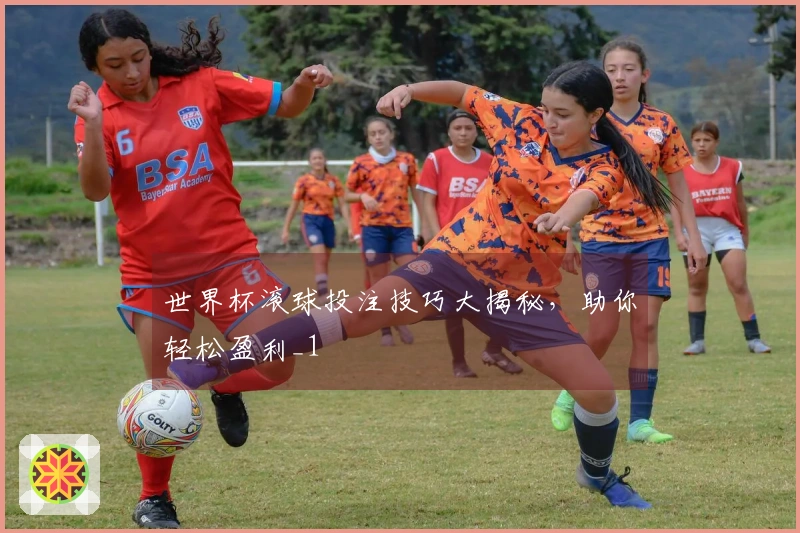 世界杯滚球投注技巧大揭秘，助你轻松盈利_1