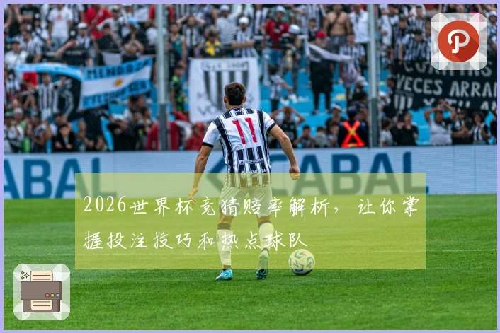 2026世界杯竞猜赔率解析，让你掌握投注技巧和热点球队