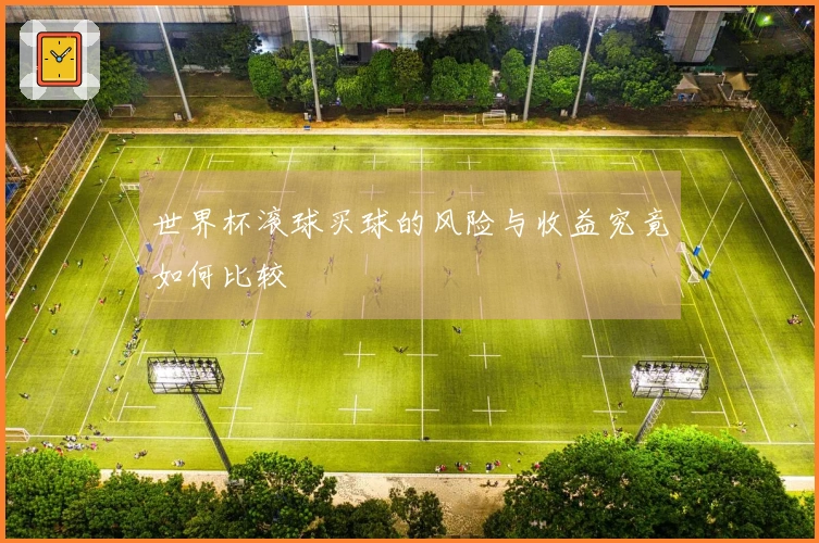 世界杯滚球买球的风险与收益究竟如何比较