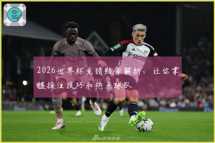 2026世界杯竞猜赔率解析，让你掌握投注技巧和热点球队
