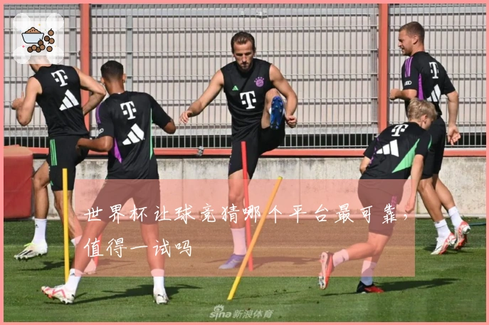世界杯让球竞猜哪个平台最可靠，值得一试吗