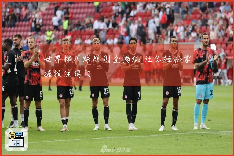 世界杯买球规则全揭秘 让你轻松掌握投注窍门