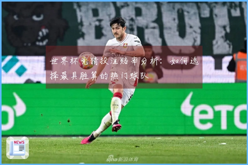 世界杯竞猜投注赔率分析：如何选择最具胜算的热门球队