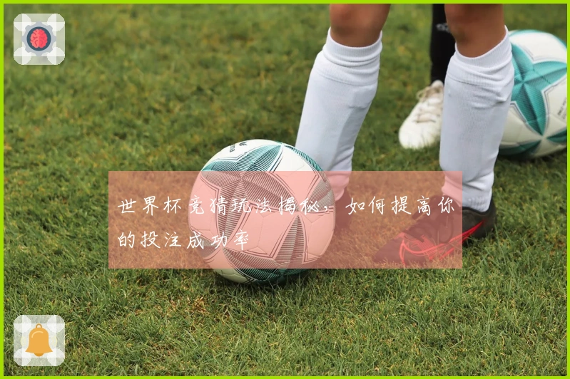 世界杯竞猜玩法揭秘，如何提高你的投注成功率
