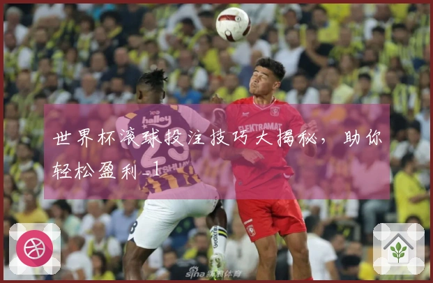 世界杯滚球投注技巧大揭秘，助你轻松盈利_1