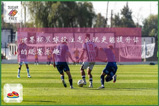 世界杯买球投注怎么玩更能提升你的观赛乐趣