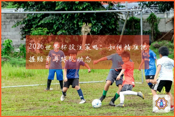 2026世界杯投注策略：如何精准把握赔率与球队动态