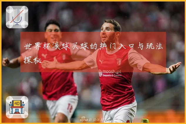 世界杯滚球买球的热门入口与玩法探秘