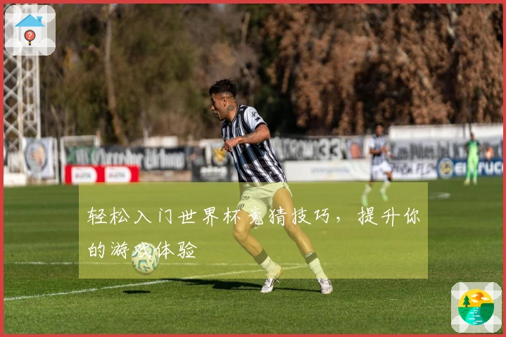 轻松入门世界杯竞猜技巧，提升你的游戏体验