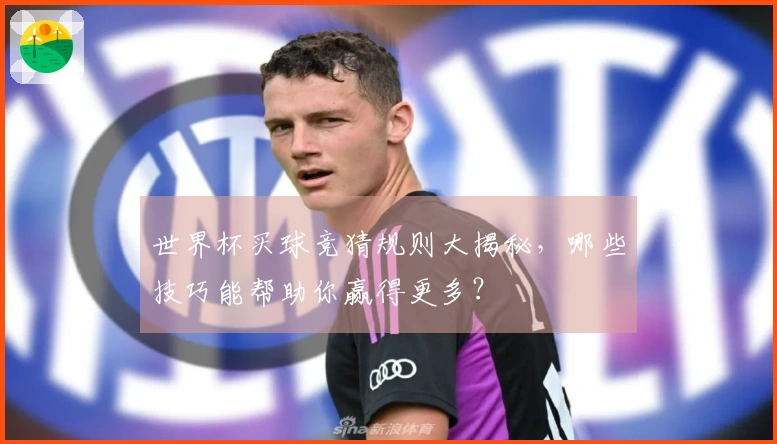 世界杯买球竞猜规则大揭秘，哪些技巧能帮助你赢得更多？
