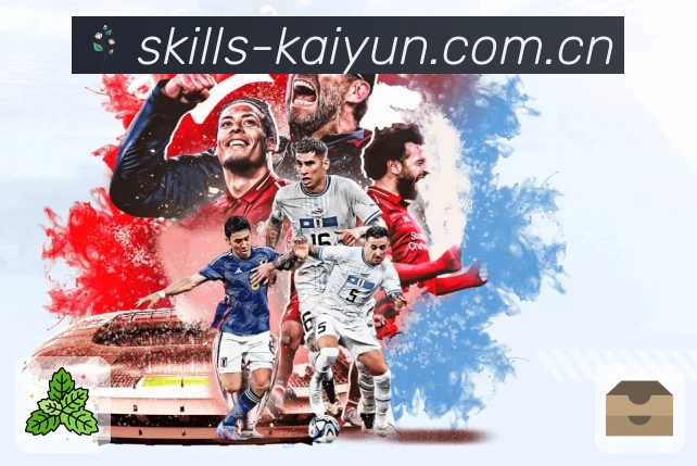 功能体验认证展示